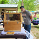 A person in a baseball cap, grey t-shirt and jeans examines a beehive at a recent Earth Day event focused on pollinators.