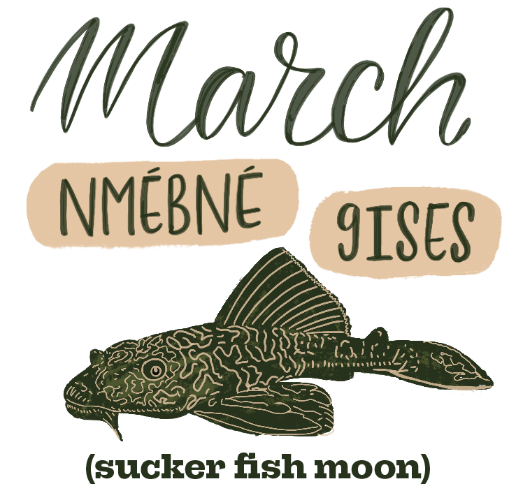 A forest green illustration of a suckerfish and text that reads: March, Nmebne Gises (sucker fish moon)"