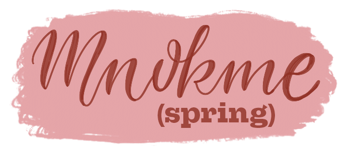A light pink paint brush stroke with berry red text over it that reads: Mnokme (spring)"