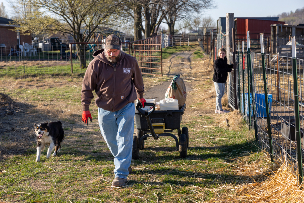 Will Pappan pulls a wagon of feed past an enclosure at Lively Hope Farm. Addie, a black and white farm dog, runs along side, and Will's daughter, Hope, can be seen in the background closing a gate.