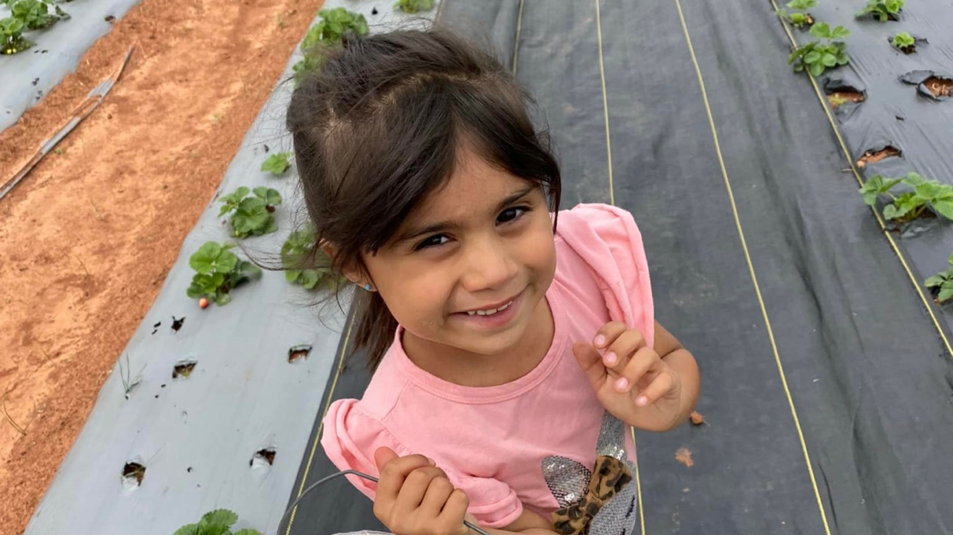 Photograph of a young child in a ping tshirt looking up at the camera and holding a white pail full of strawberries.